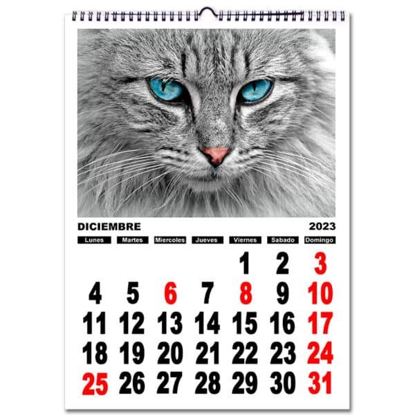 Calendario personalizado con fotos pared NÚMEROS A4