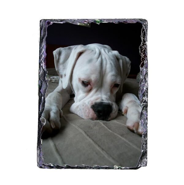 Pizarra personalizada con fotos 15x20 Vertical